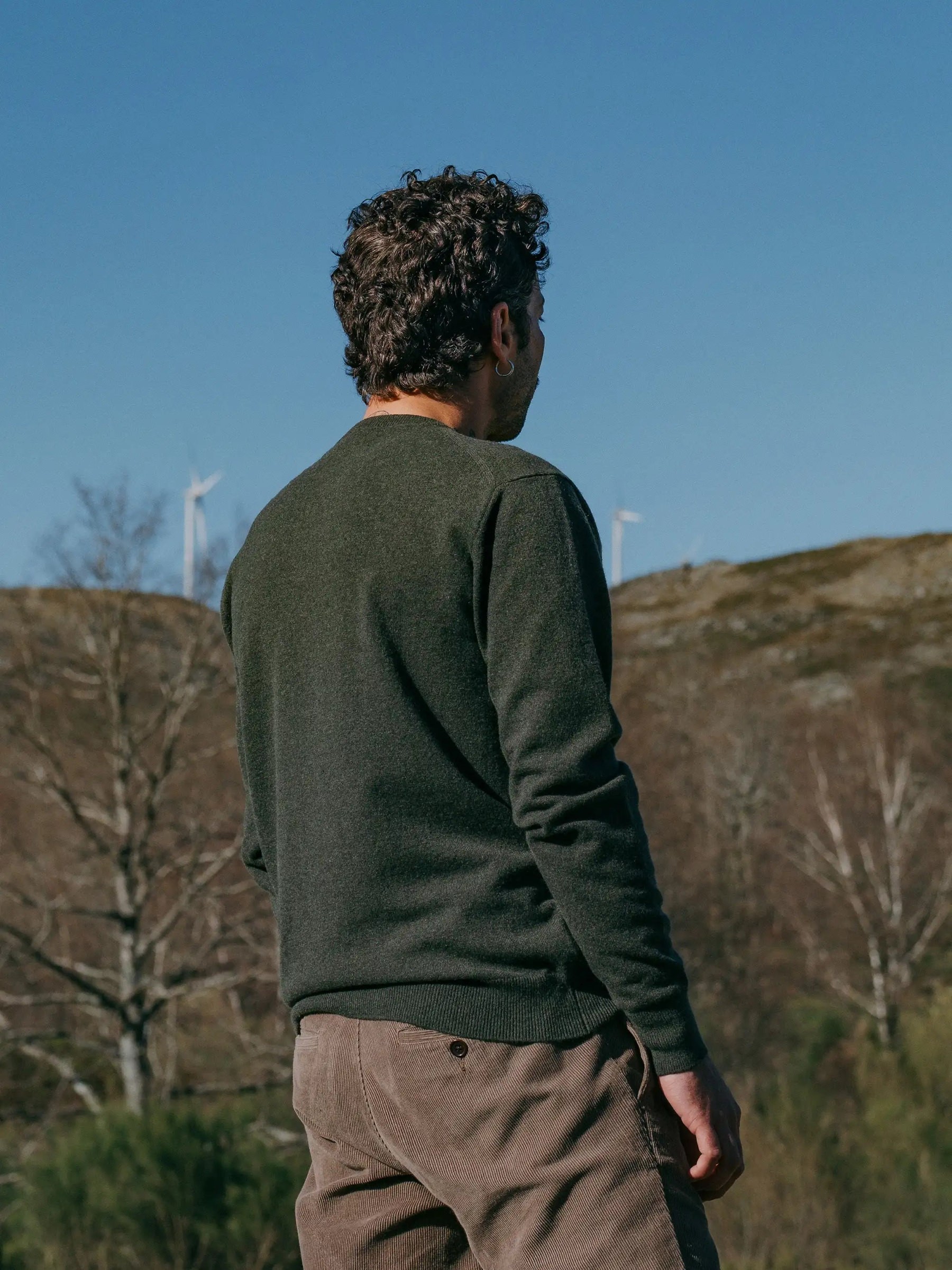 Pullover Sweater Wool Ovino forest Carpasus