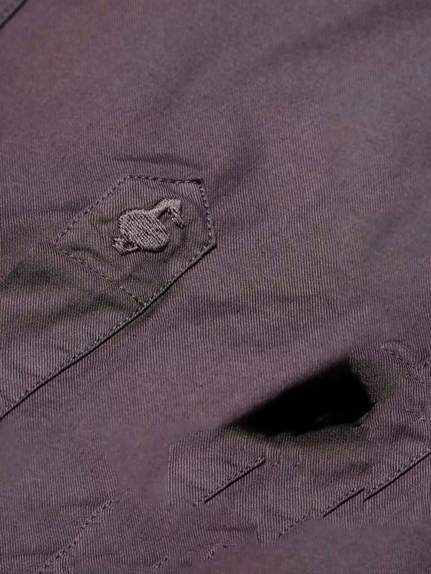 Hemd Shirt Erva plum Carpasus