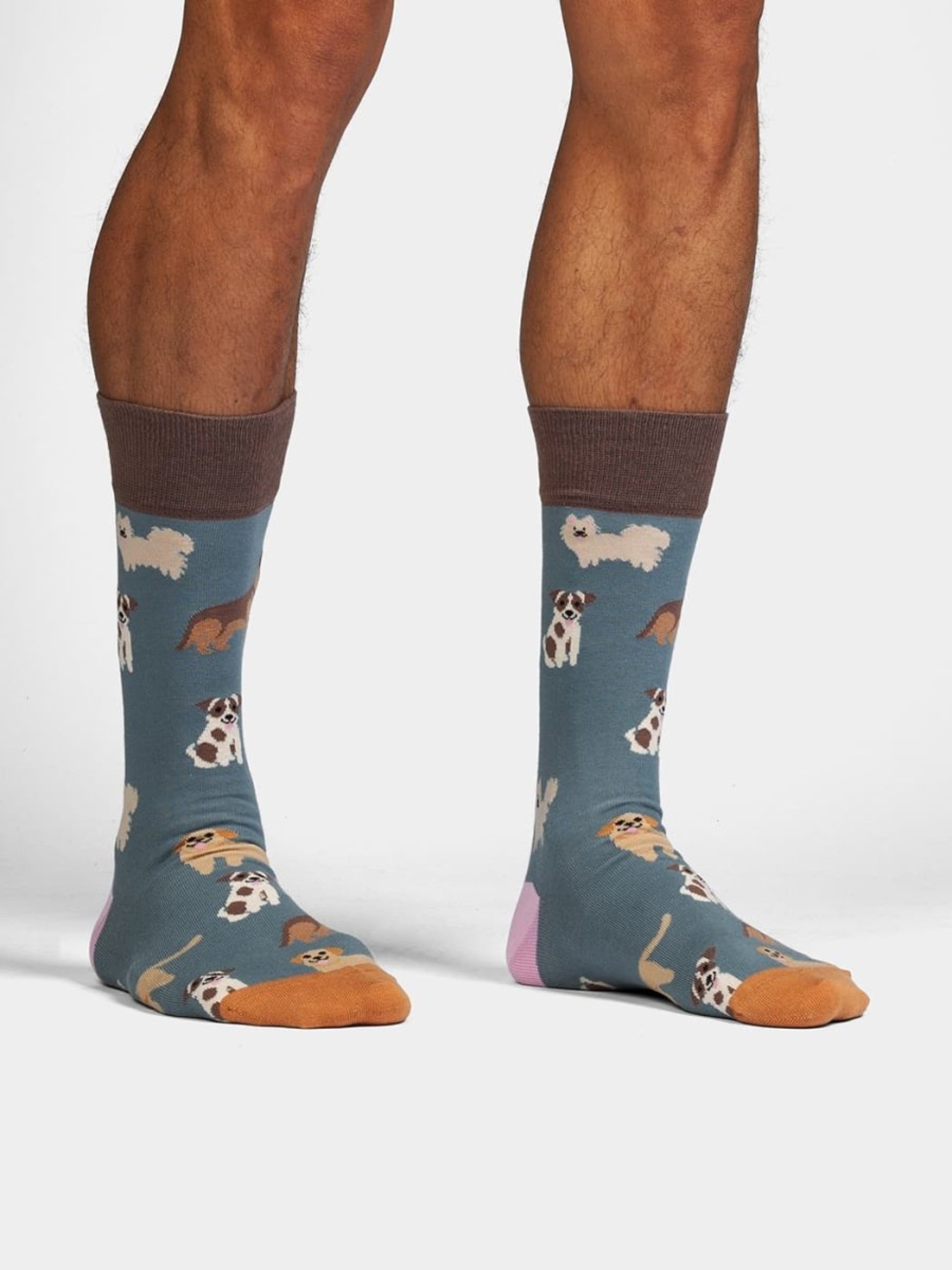 Socken Classic Socks doggy dog Dilly Socks