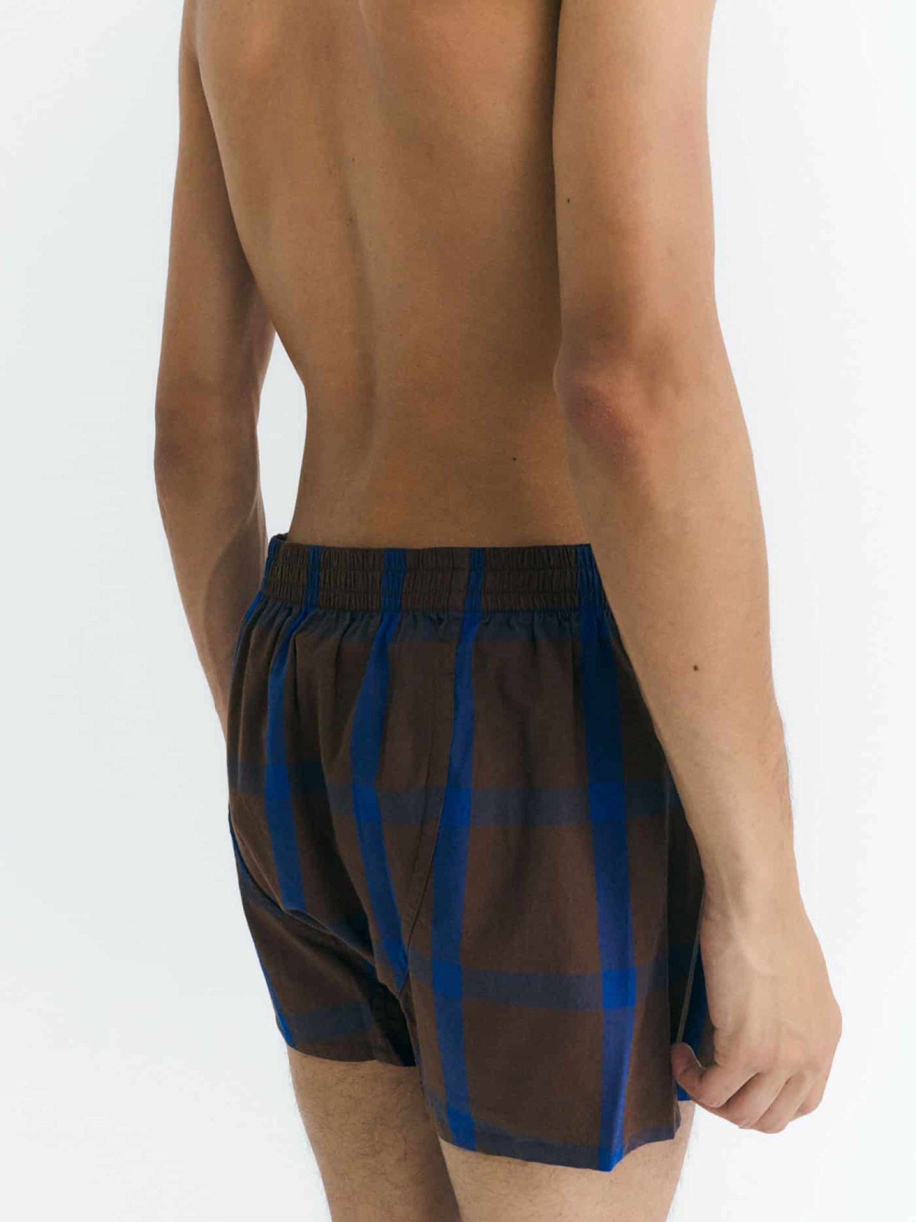 Unterhose Boxder oak windowpale Thinking Mu