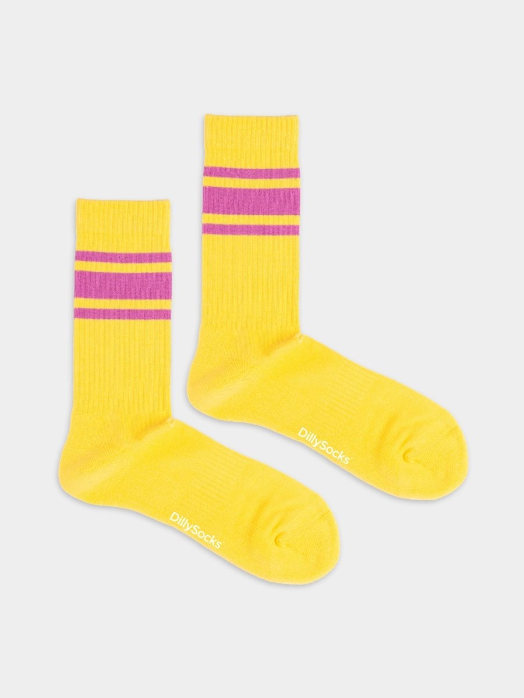 Socken Terry Socks piggy bank Dilly Socks