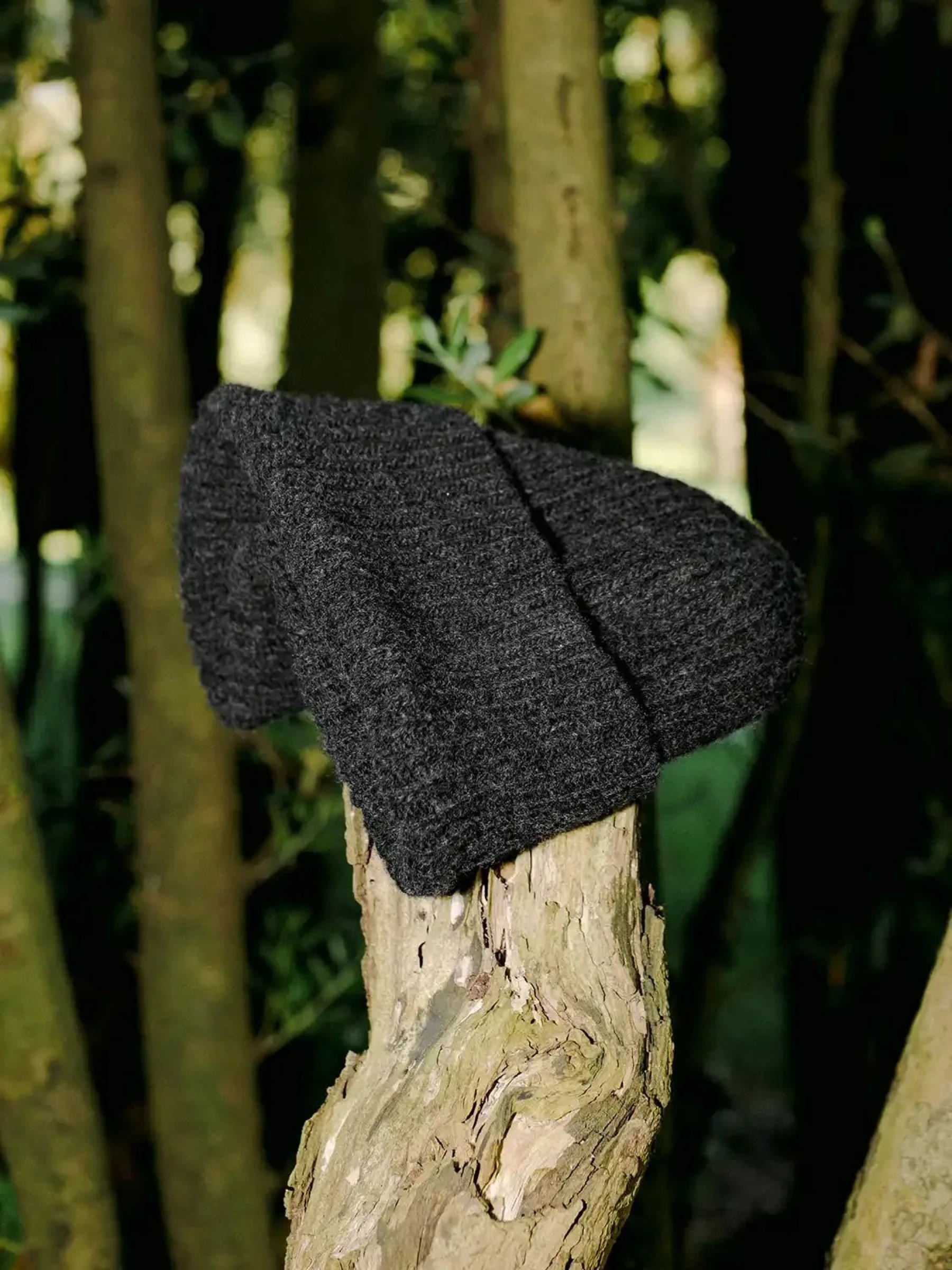 Mütze Beanie Wool Rapos slate Carpasus