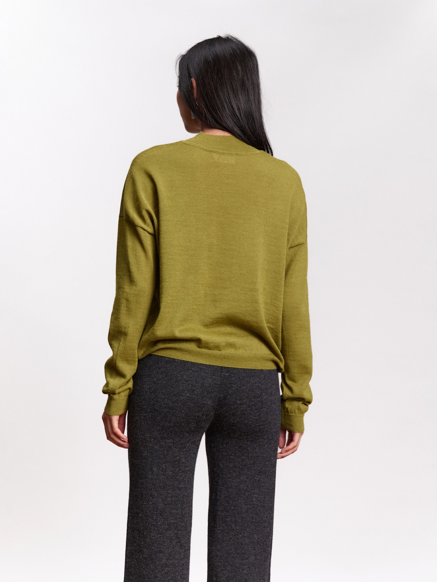 Pullover Arvo Sweater pistachio Jungle Folk