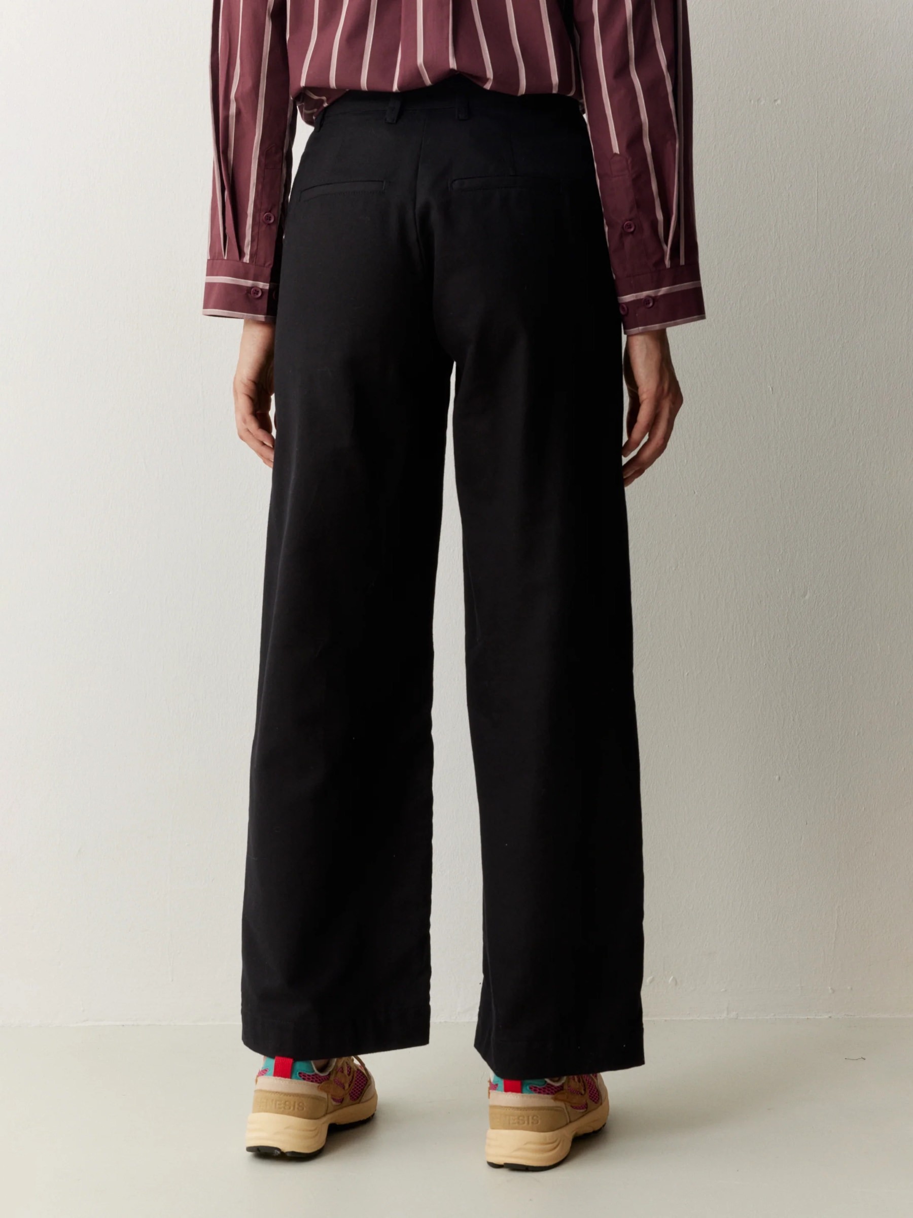 Hose Ligularia black Recolution