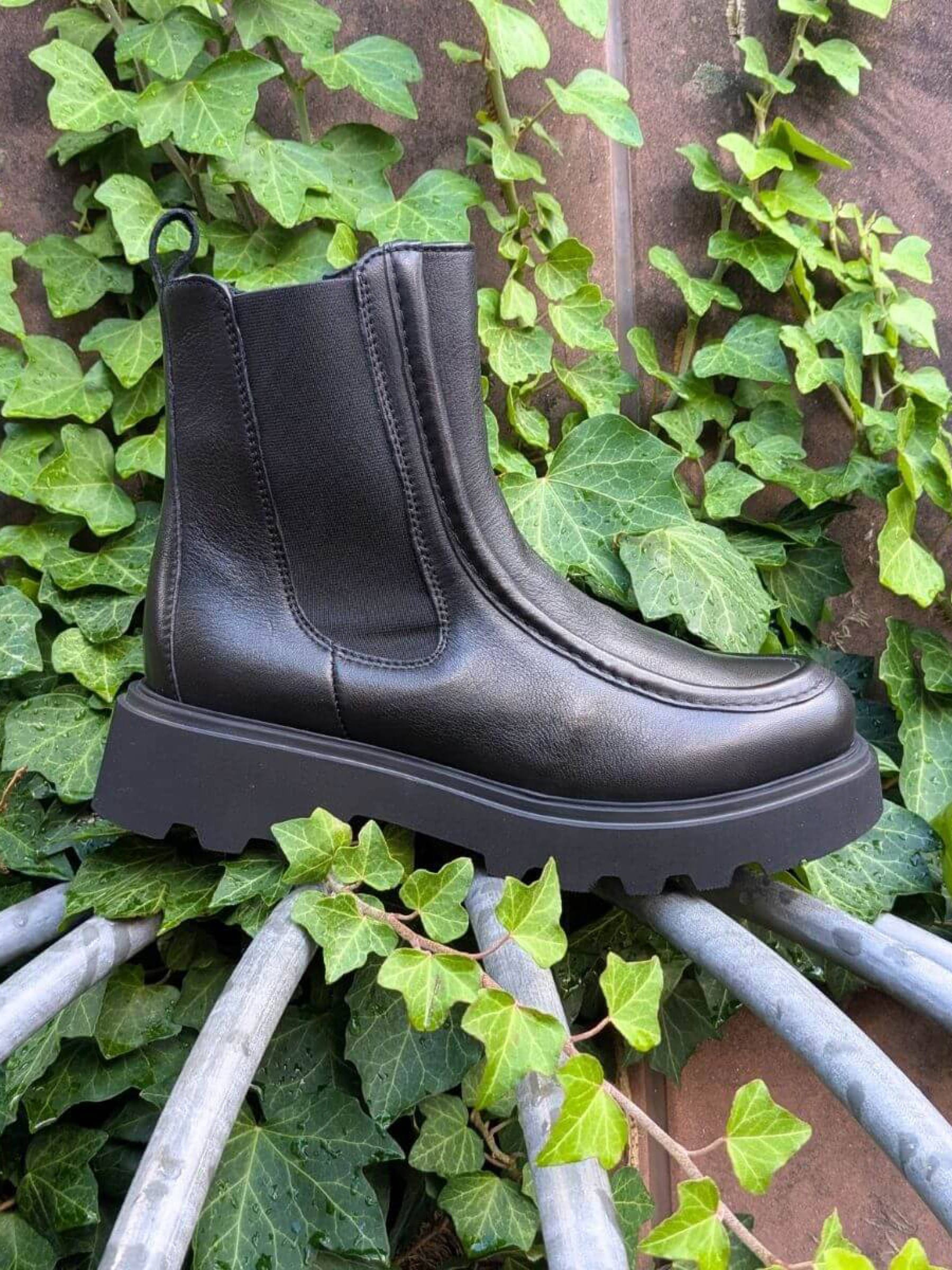 Schuhe Ginsterkatze schwarz Werner