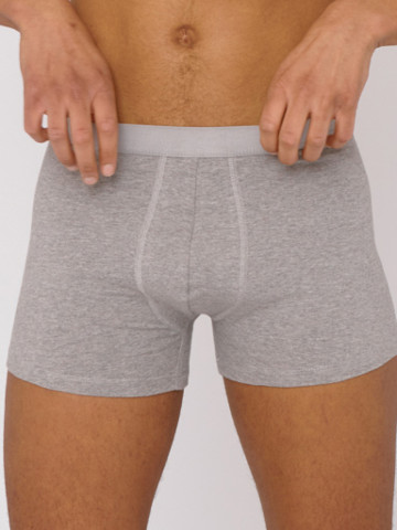 Unterhose Organic Cotton Boxers 2pack grey Organic Basics