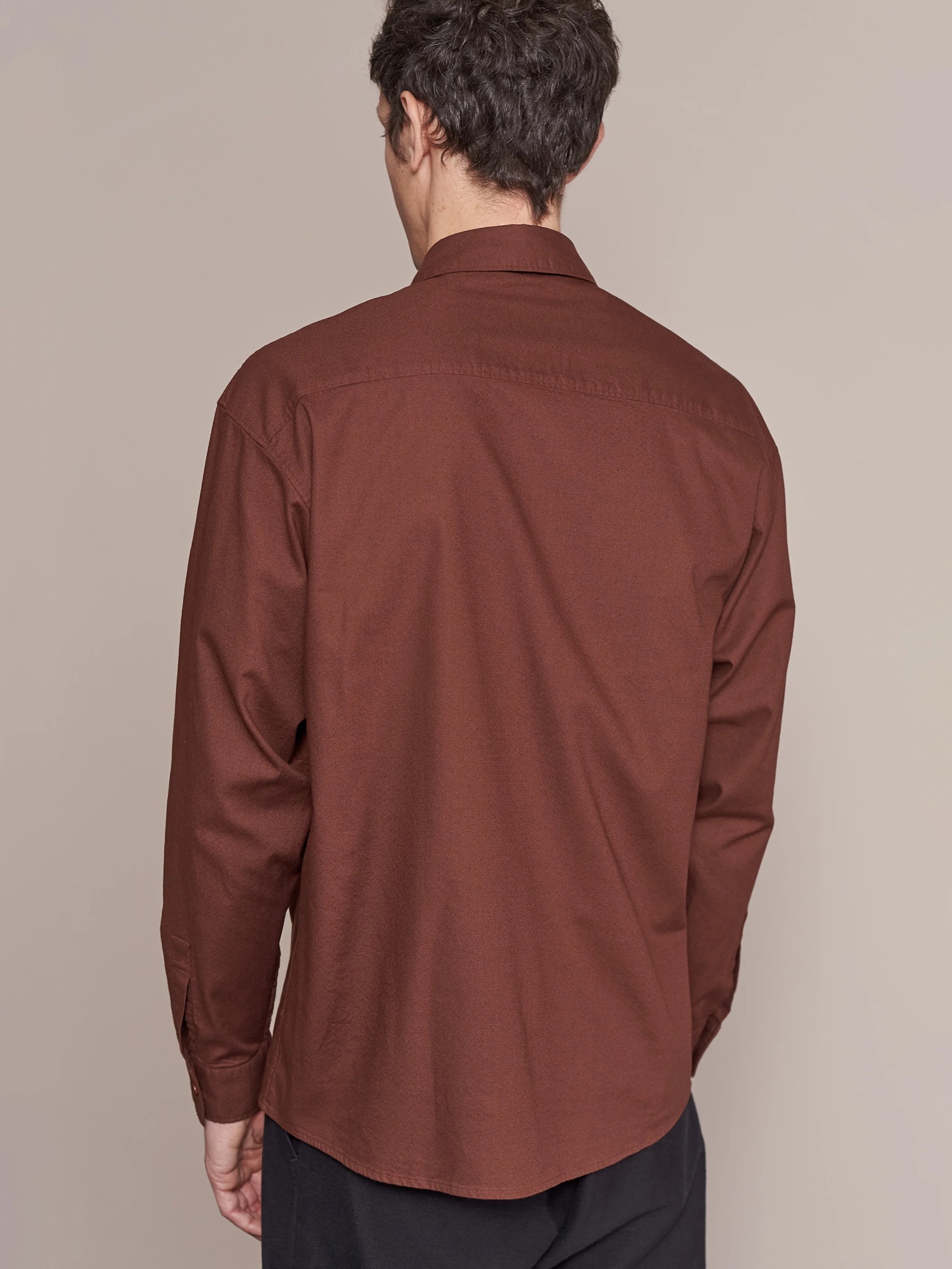 Hemd Dario eco crisp cotton marron About Companions