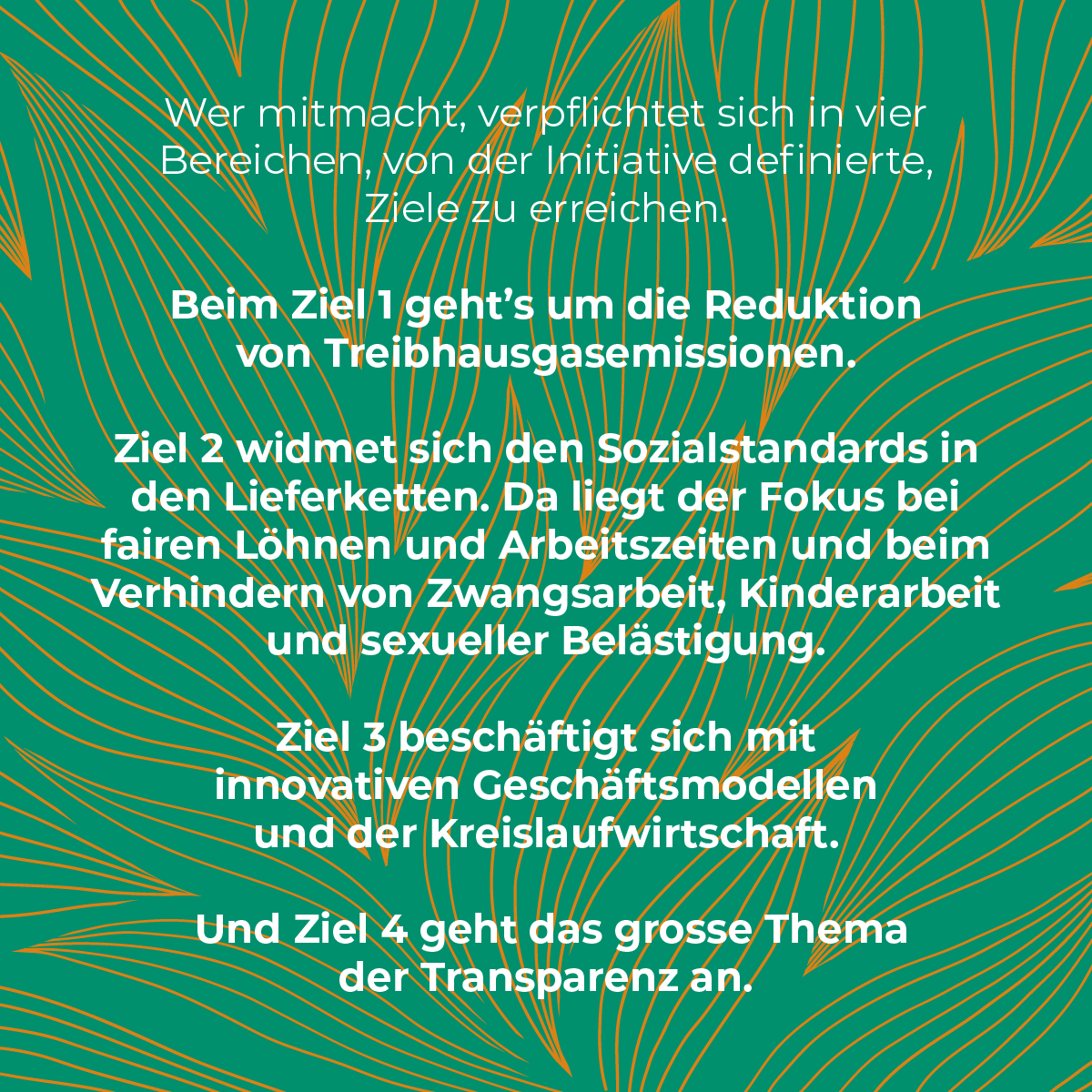 Ziele STS2030