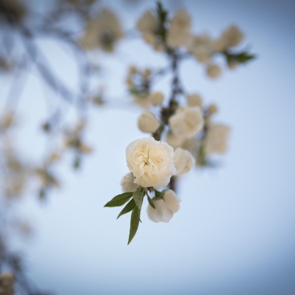 April