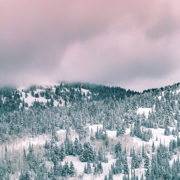 Winter Sale