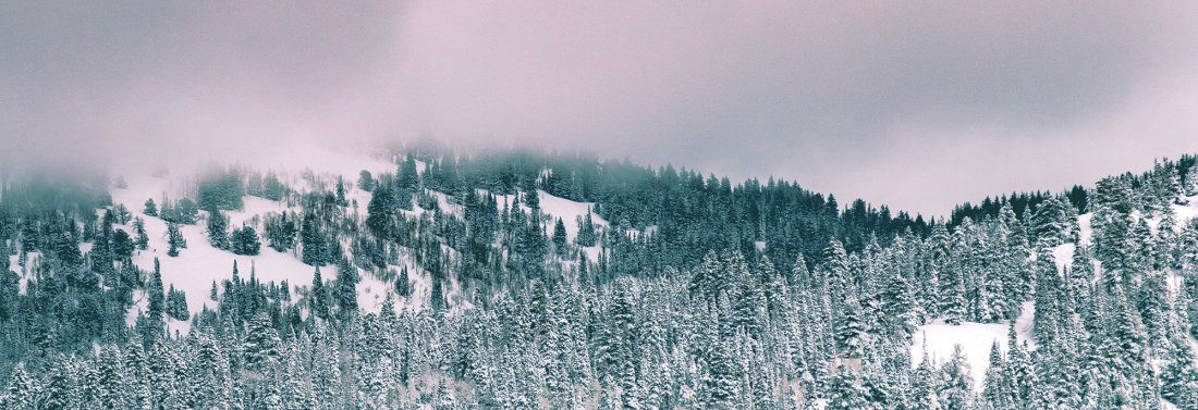 Winter Sale