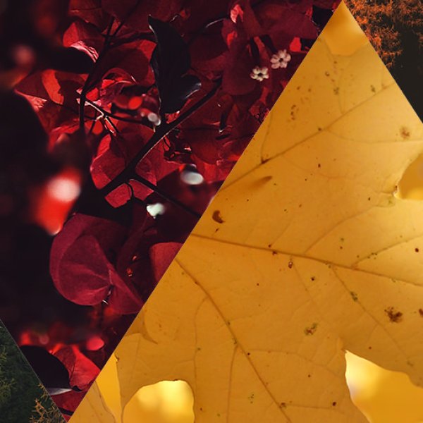 Herbst