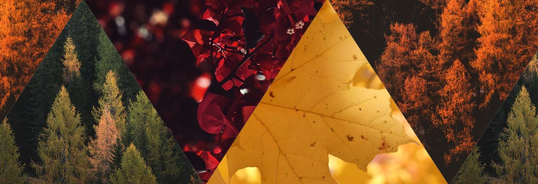 Herbst
