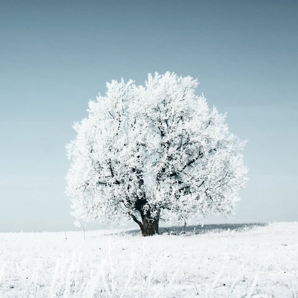 Winter Sale