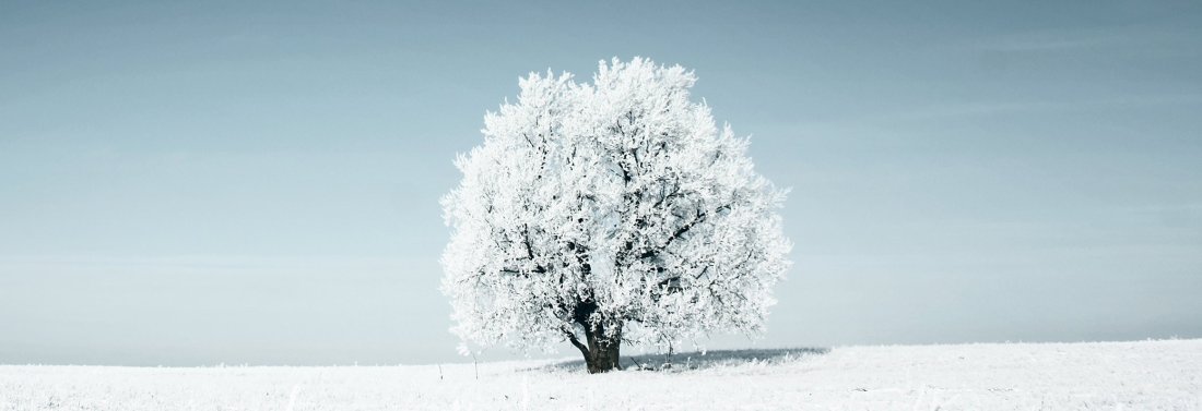 Winter Sale