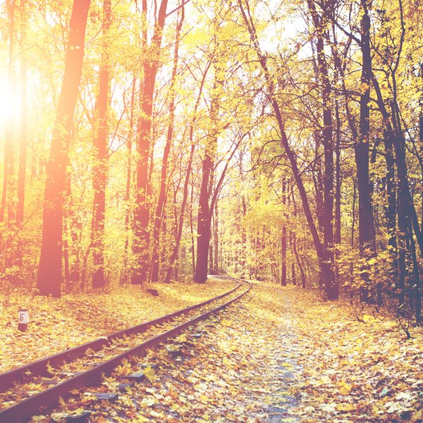 Herbst