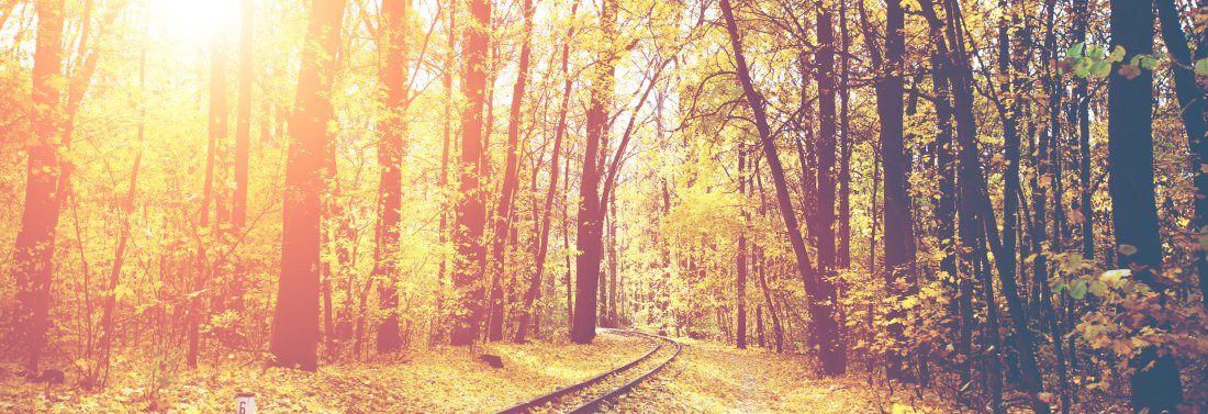Herbst